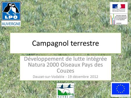 Campagnol terrestre Développement de lutte intégrée Natura 2000 Oiseaux Pays des Couzes Dauzat-sur-Vodable - 19 décembre 2012.