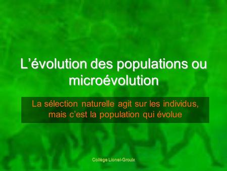 L’évolution des populations ou microévolution