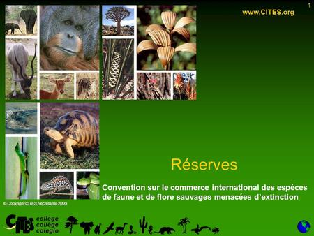 1 Réserves www.CITES.org © Copyright CITES Secretariat 2005 Convention sur le commerce international des espèces de faune et de flore sauvages menacées.