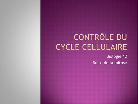 Contrôle du cycle cellulaire
