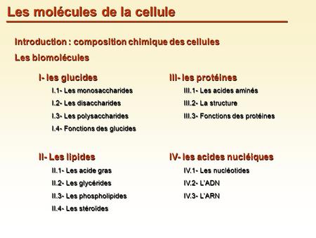 Les molécules de la cellule