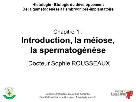 Chapitre 1 : Introduction, la méiose, la spermatogénèse
