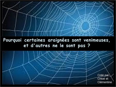 Pourquoi certaines araignées sont venimeuses, et d'autres ne le sont pas ? Créé par Chloé et Clémentine.