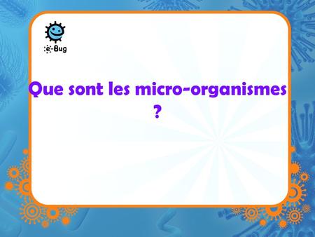 Que sont les micro-organismes ?