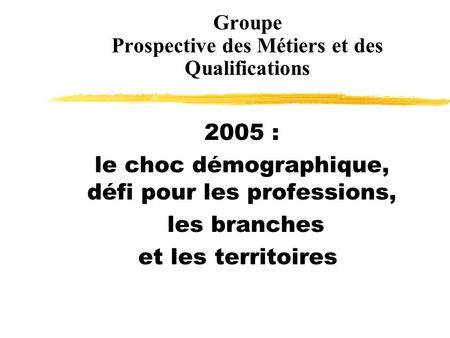Groupe Prospective des Métiers et des Qualifications 2005 : le choc démographique, défi pour les professions, les branches et les territoires.
