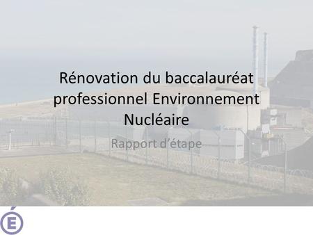 Rénovation du baccalauréat professionnel Environnement Nucléaire Rapport détape.