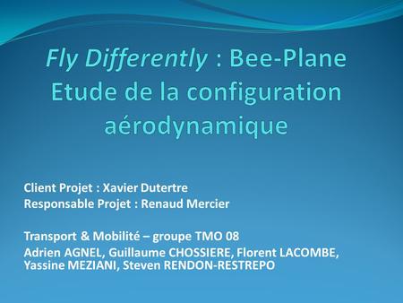 Fly Differently : Bee-Plane Etude de la configuration aérodynamique