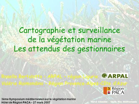 3ème Symposium méditerranéen sur la végétation marine Hôtel de Région PACA – 27 mars 2007 Cartographie et surveillance de la végétation marine Les attendus.