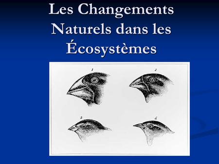 Les Changements Naturels dans les Écosystèmes