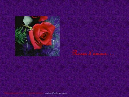 Roses damour… Diaposguyloup©2004 – Tous droits réservés –