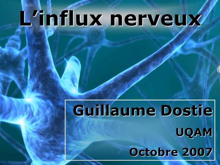 L’influx nerveux Guillaume Dostie UQAM Octobre 2007