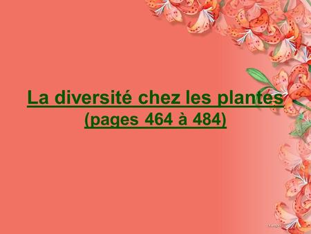 La diversité chez les plantes (pages 464 à 484)