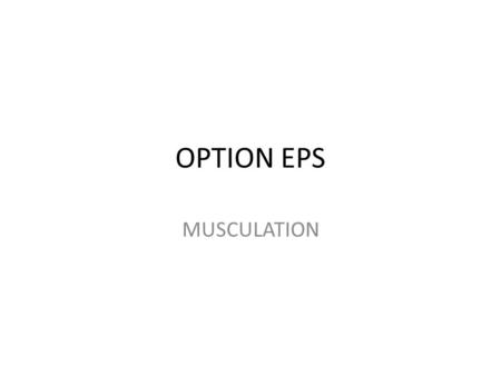 OPTION EPS MUSCULATION.