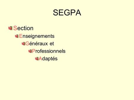 SEGPA Section Enseignements Généraux et Professionnels Adaptés.