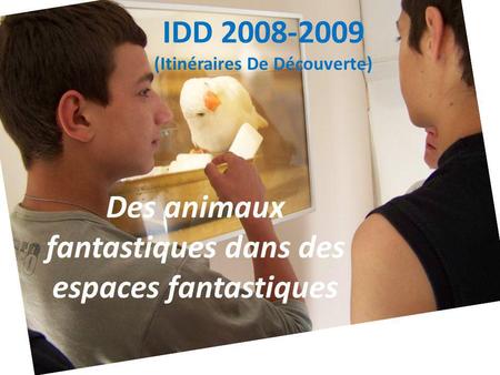 IDD 2008-2009 (Itinéraires De Découverte) Des animaux fantastiques dans des espaces fantastiques.