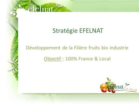 Stratégie EFELNAT Développement de la Filière fruits bio industrie