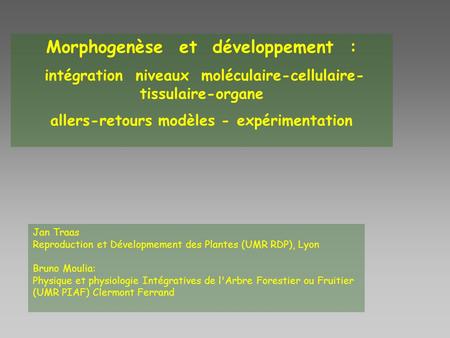 Morphogenèse et développement :