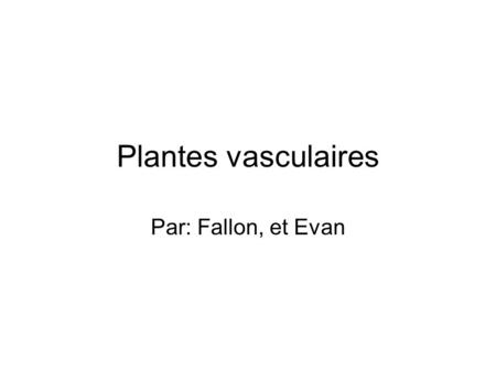 Plantes vasculaires Par: Fallon, et Evan.