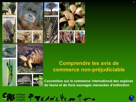 1 Comprendre les avis de commerce non-préjudiciable Convention sur le commerce international des espèces de faune et de flore sauvages menacées dextinction.