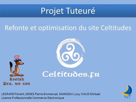 Refonte et optimisation du site Celtitudes