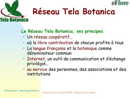 Atelier de travail ECOFOR « Base de données » Le Réseau Tela Botanica, ses principes Un réseau coopératif… où la libre contribution de chacun profite à