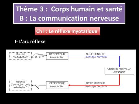 Thème 3 : Corps humain et santé B : La communication nerveuse