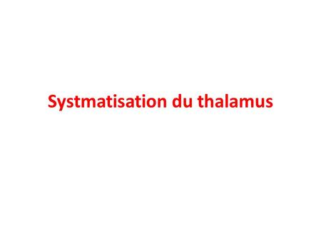 Systmatisation du thalamus