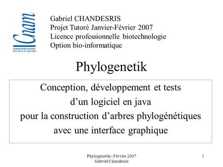 Phylogenetik Conception, développement et tests d’un logiciel en java