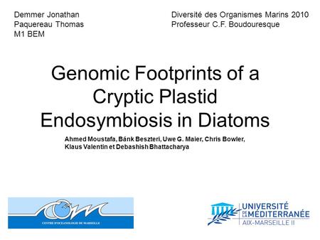 Genomic Footprints of a Cryptic Plastid Endosymbiosis in Diatoms