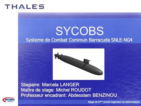 Systeme de Combat Commun Barracuda SNLE-NG4