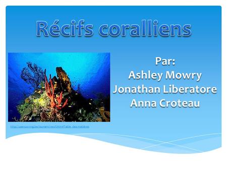 Récifs coralliens Par: Ashley Mowry Jonathan Liberatore Anna Croteau