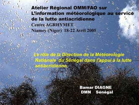 Atelier Régional OMM/FAO sur Linformation météorologique au service de la lutte antiacridienne Centre AGRHYMET Niamey (Niger) 18-22 Avril 2005 Le rôle.