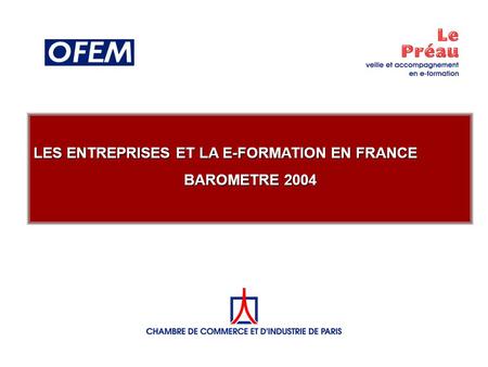 LES ENTREPRISES ET LA E-FORMATION EN FRANCE BAROMETRE 2004.