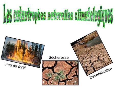 Les catastrophes naturelles climatologiques