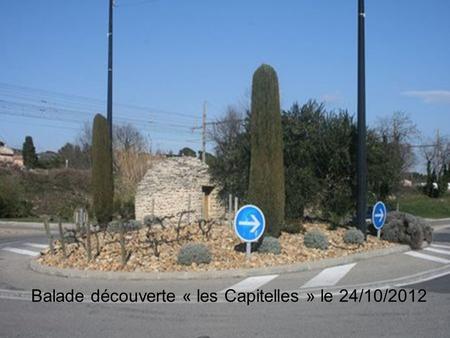 Balade découverte « les Capitelles » le 24/10/2012.