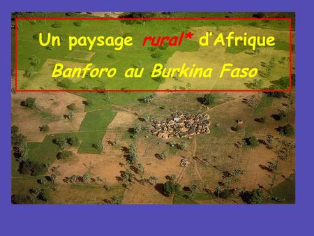 Un paysage rural* d’Afrique Banforo au Burkina Faso