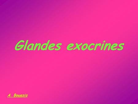Glandes exocrines A. Bouaziz.