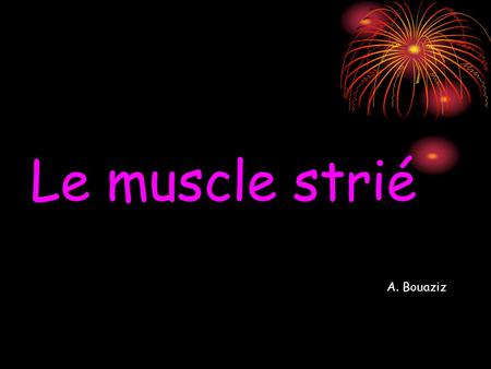 Le muscle strié A. Bouaziz.
