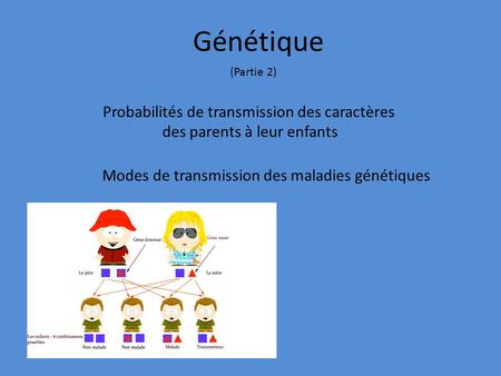 Génétique Probabilités de transmission des caractères