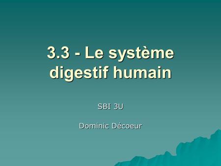 3.3 - Le système digestif humain