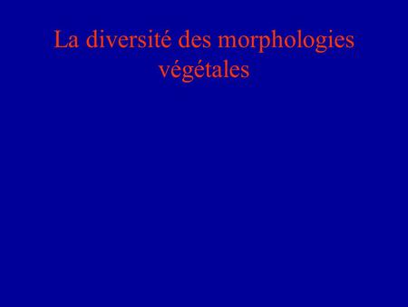 La diversité des morphologies végétales