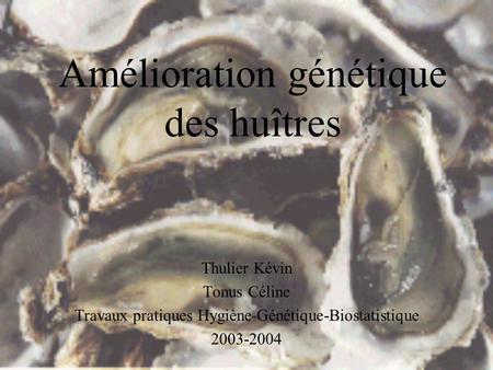 Amélioration génétique des huîtres