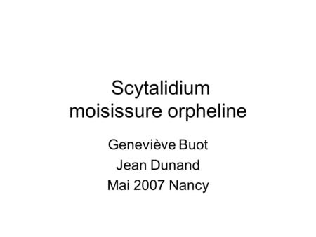 Scytalidium moisissure orpheline