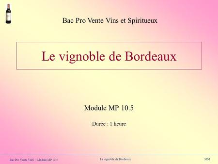 Le vignoble de Bordeaux