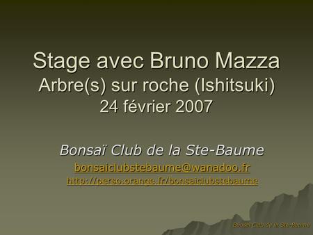 Stage avec Bruno Mazza Arbre(s) sur roche (Ishitsuki) 24 février 2007