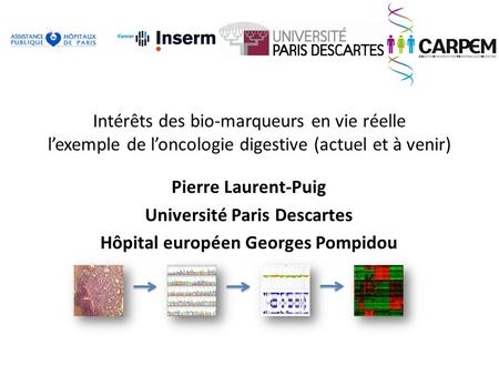 Université Paris Descartes Hôpital européen Georges Pompidou