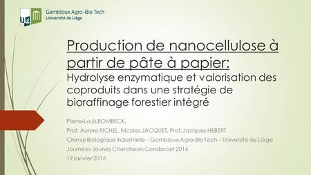 Production de nanocellulose à partir de pâte à papier: Hydrolyse enzymatique et valorisation des coproduits dans une stratégie de bioraffinage forestier.