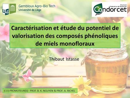 Caractérisation et étude du potentiel de valorisation des composés phénoliques de miels monofloraux Thibaut Istasse Bonjour à tous. Tous d’abord, permettez.