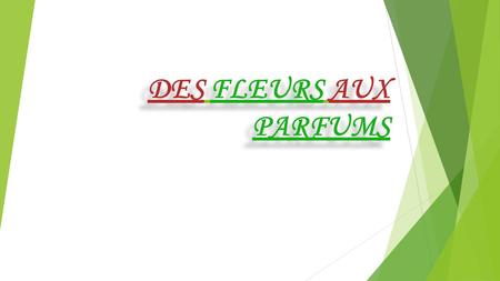 DES FLEURS AUX PARFUMS.
