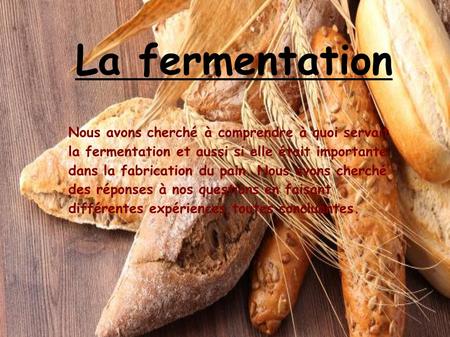 La fermentation Nous avons cherché à comprendre à quoi servait la fermentation et aussi si elle était importante dans la fabrication du pain. Nous avons.